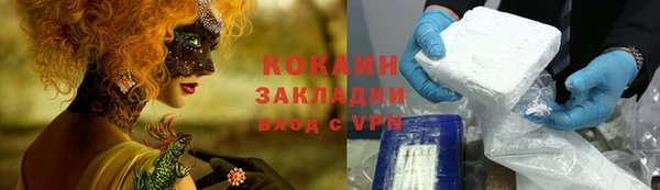 дживик Мегион