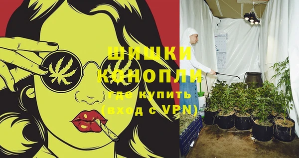 гашик Медвежьегорск