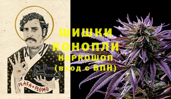 дживик Мегион