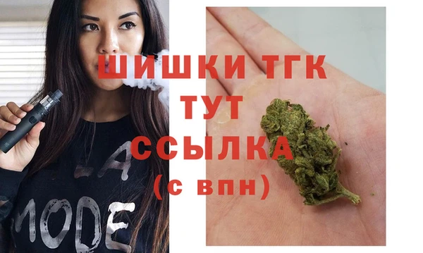 гашик Медвежьегорск