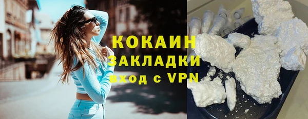 дживик Мегион