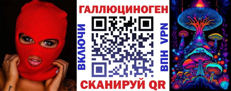 где продают   Талдом  Псилоцибиновые грибы GOLDEN TEACHER 